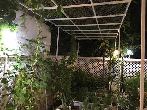 Biệt thự của vợ chồng Công Vinh có khu vườn rộng với100m2 đất để trồng rau sạch. Ảnh: Dân Việt.