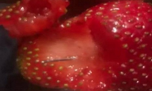 Phat hien kim khau trong dau tay ban tai thi truong New Zealand