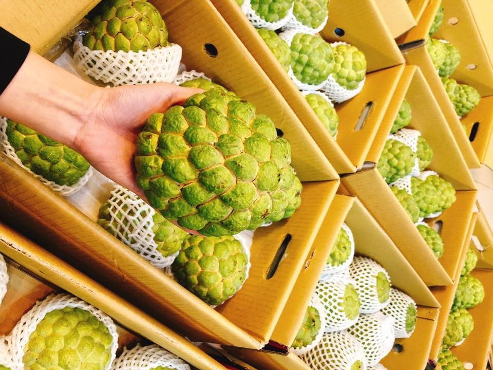 Theo một số người bán, na Đài Loan có hai loại là na dai và na bở. Tuy nhiên, nhiều khách hàng sau thưởng thức lại thiên về lựa chọn na bở Đài Loan hơn. Ảnh: FB Phạm Vân Anh.