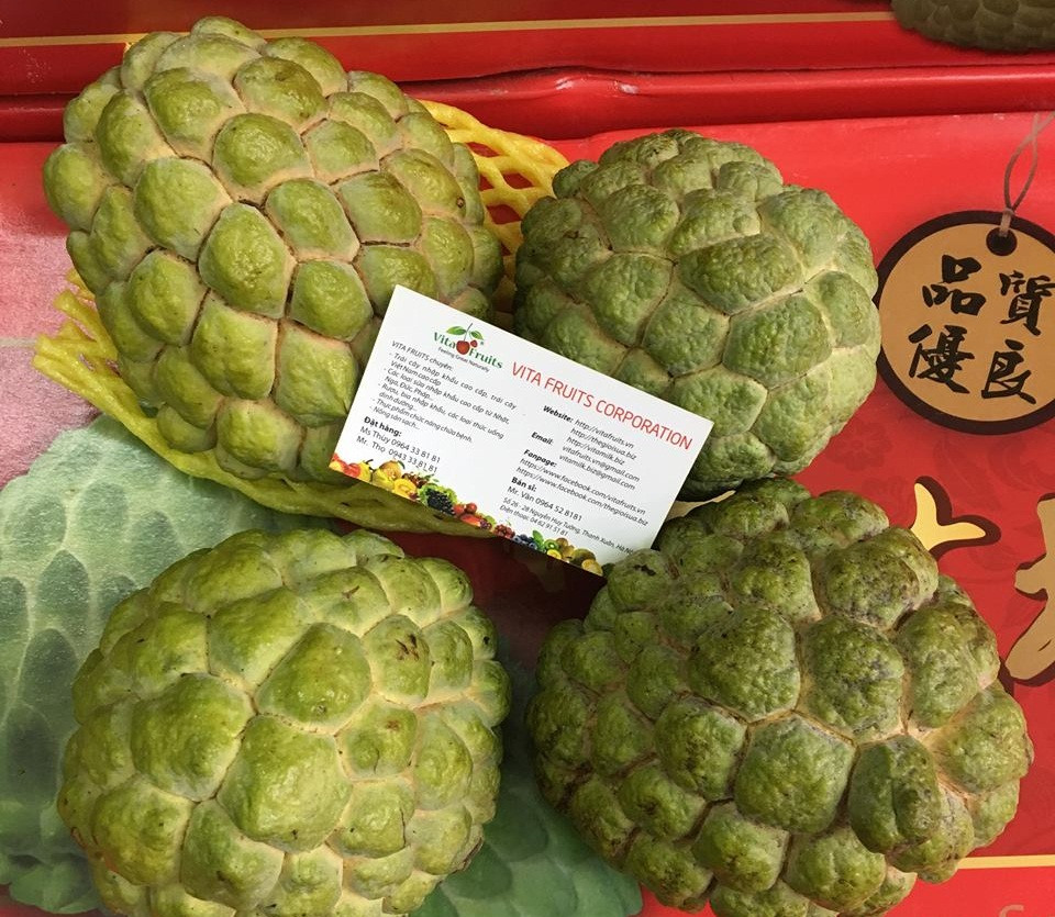 Tính ra, mỗi quả na bở Đài Loan có giá gần 200.000 đồng, thậm chí là 250.000 đồng/quả vào thời điểm khan hàng giá na lên tới 500.000 đồng/kg. Ảnh: Vitafruits.