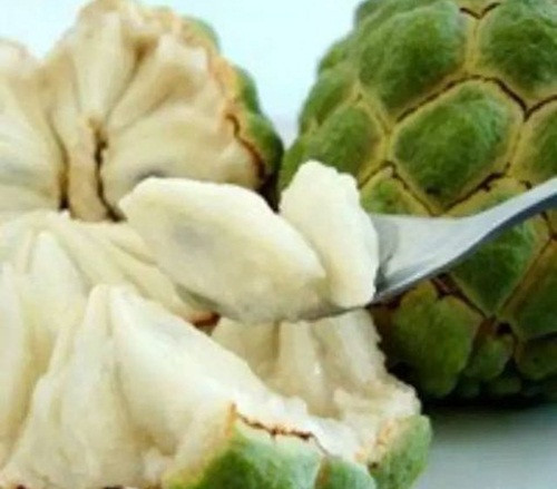 Khi ăn, na bở Đài Loan có vị ngọt như chè, thơm đậm đà rất đặc biệt. Ảnh: Halafruit.