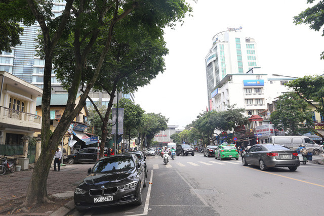 Sưa đỏ có vỏ ngoài sần sùi, gỗ tỏa ra mùi thơm thoang thoảng, đặc biệt có độ bền rất cao, ngâm trong bùn, trong nước nhiều năm vẫn không hề bị thấm nước hay mục nát. Ảnh: Tuổi trẻ.