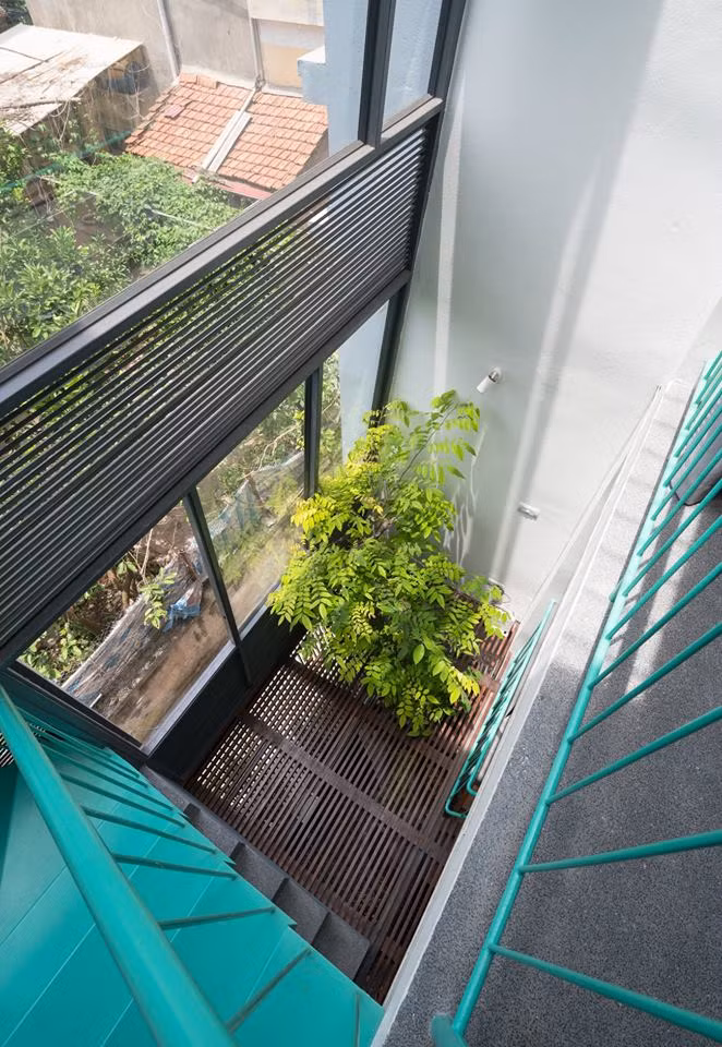 Cây xanh như một điểm nhấn cho không gian nhà phố 3 tầng.