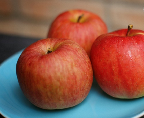 Tuy nhiên, hơn 17 năm sau giống táo này mới được biết đến và trồng thương mại ở Nhật Bản. Ảnh: Angelashouse.