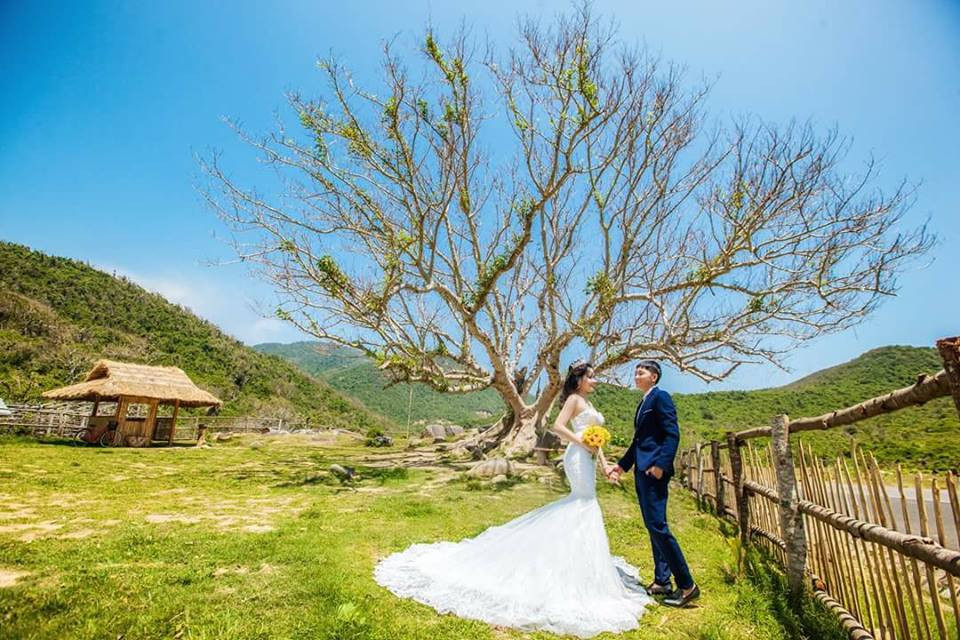 Nhiều cặp đôi cũng tìm đến nông trại để chụp ảnh cưới.