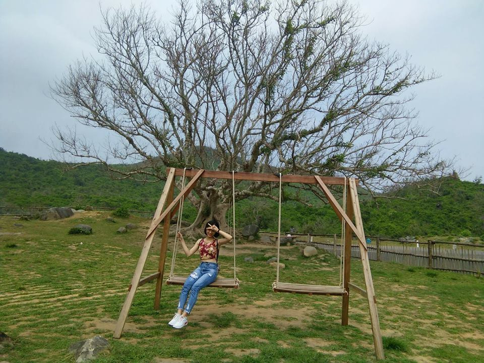 Giờ đây khi đến Phú Yên trên đường Phước Tân - Bãi Ngà hướng đi Vũng Rô, Đông Hòa, bạn đừng quên dừng chân ở trang trại B&amp;U farm để chụp ảnh sống ảo khoe bạn bè khắp 3 miền nhé.