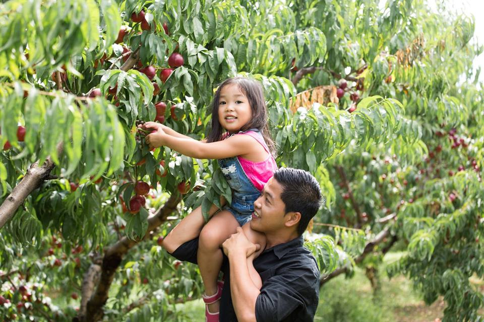  Vườn táo sai trĩu quả của gia đình nhà Lymans ở Middlefield (Mỹ) nổi tiếng với không gian trong lành, xanh mát.