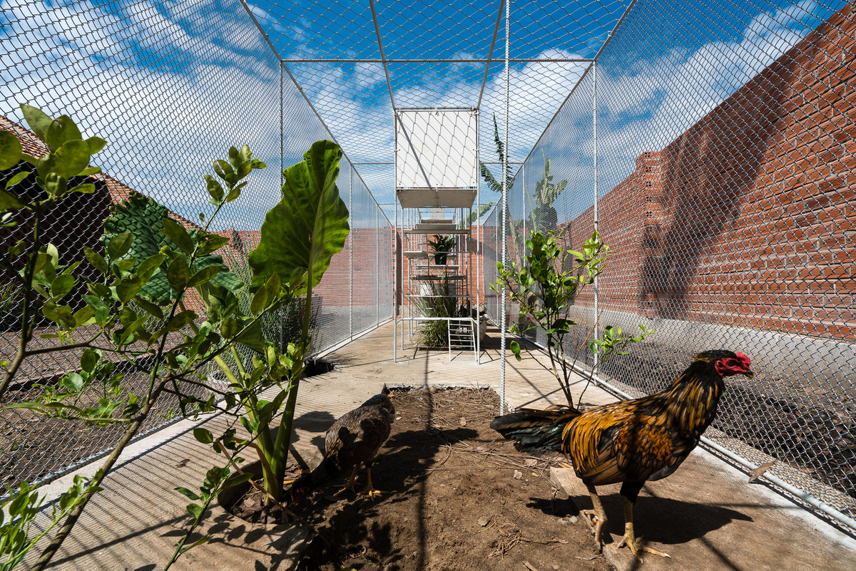 Để có không gian tự do, thoáng khí cho những chú gà, chuồng được làm bằng thép xây dựng, lưới sắt và tấm xi măng.