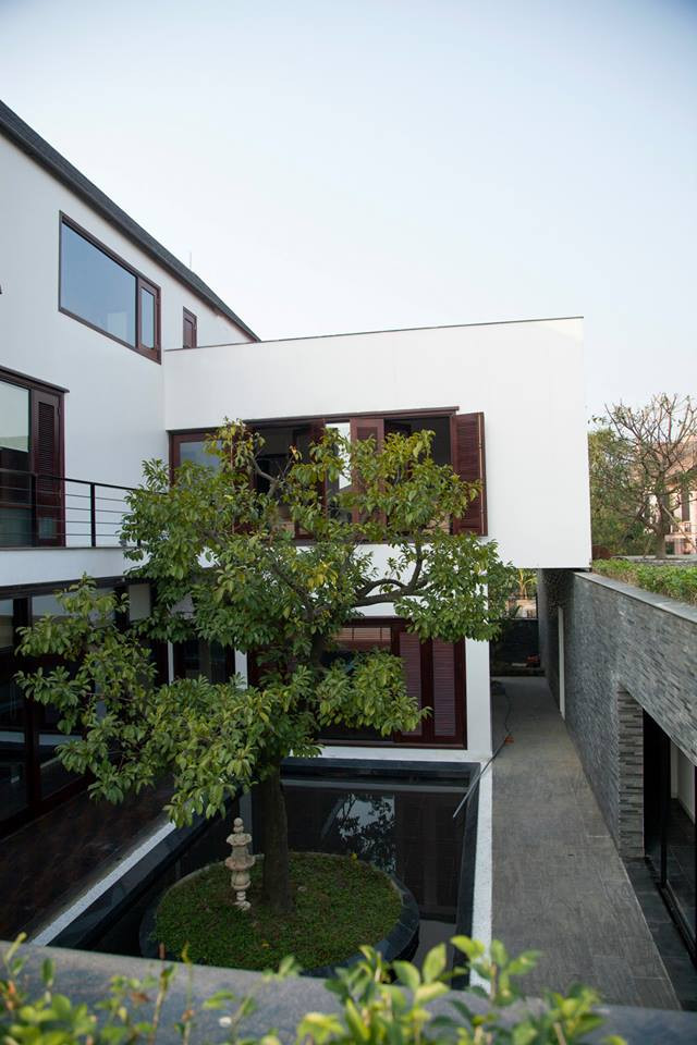 Diện tích sàn của căn biệt thự hiện đại lên tới 600m2.