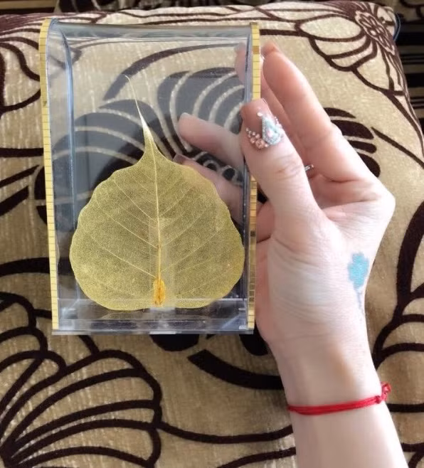 Lá bồ đề thật được xử lý thủ công nên không chiếc lá nào giống nhau. Mỗi chiếc lá mang một vẻ đẹp và nét độc đáo riêng. Ảnh: Giftshop24h.