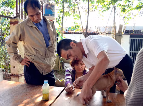 Anh Phạm Quốc Thắng không chỉ là người tiên phong cho phong trào nuôi chó Phú Quốc ở Hà Nội, mà còn sở hữu một trang trại chó rộng hơn 500m2 ở đường Lương Thế Vinh (Hà Nội). Ảnh: Cafebiz.