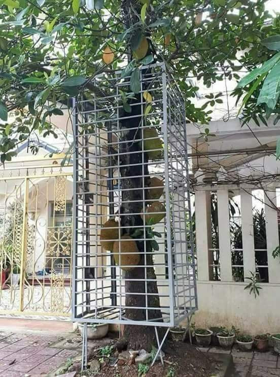 Thuê người hàn sắt bao vây, chủ nhà yên bề ngủ ngon. Ảnh: FB Nguyễn Công Tuấn.