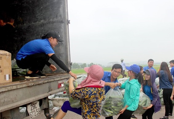 Các đoàn viên thanh niên trên địa bàn tập trung về cánh đồng Diễn Lộc để "giải cứu" dưa chuột cho bà con. Ảnh: Baonghean.