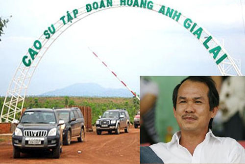Lúc đầu là chú tâm vào bất động sản (2009 - 2012), sau đó chuyển sang mía đường (2013 - 2014), rồi là bò sữa (2015-2016) và gần đây nhất là chuyển sang trái cây. Ảnh: Vietnamnet.