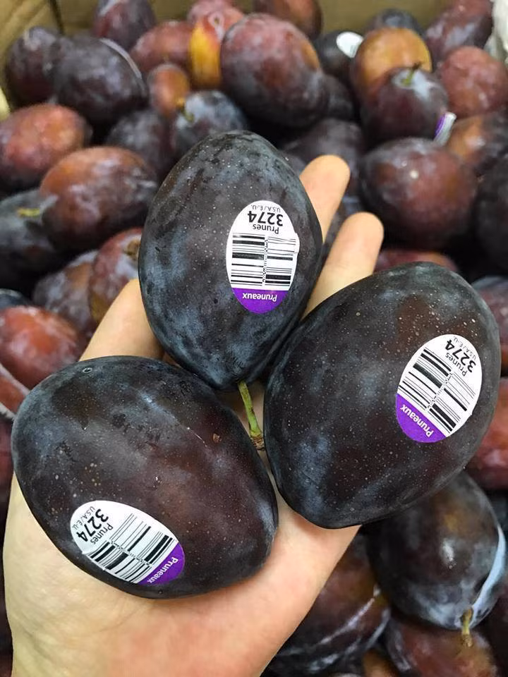 Khách ăn mận nhót nhập khẩu thường là gia đình có thu nhập khá. Không ít người mua cả 2-3 kg mỗi lần, thậm chí có những gia đình ngày nào cũng đặt mua mận đều đặn. Ảnh: Lavifruits.