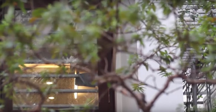 Bên ngoài biệt thự của Hoa hậu Thu Ngân có nhiều cây xanh, tạo không gian thoáng mát. Ảnh: Youtube.