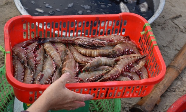 Chợ cá Tam Tiến là nơi cung cấp hải sản đi khắp nơi trong tỉnh. Ảnh: VOV5.