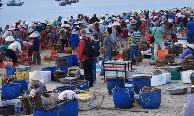 Họ tìm đến đây vì hải sản vừa tươi sống vừa rẻ hơn nhiều chỗ khác. Ảnh: VOV5.