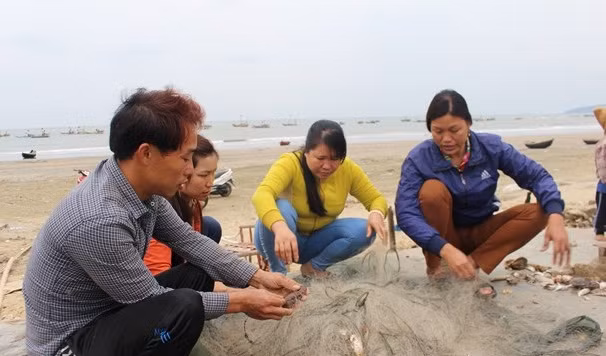 Ngoài dùng bẫy, ngư dân còn săn cua đá bằng cách thả lưới. Thông thường, ngư dân đi thả từ 5 giờ chiều đến 5 giờ sáng hôm sau thì kéo lên. Ảnh: Baonghean.