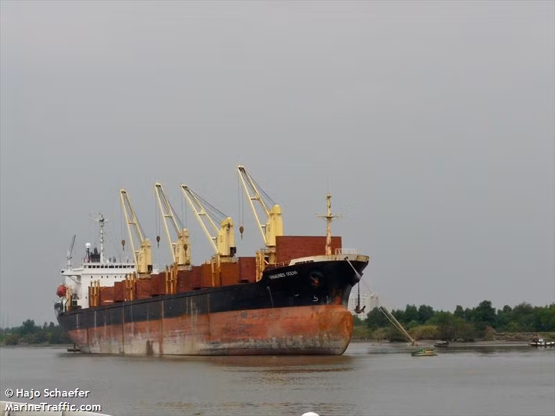 Tàu Vinalines Ocean có giá mua vào là hơn 376 tỷ đồng và mức bán thanh lý dự kiến chỉ là 34,4 tỷ đồng…Ảnh: Marine Traffic.