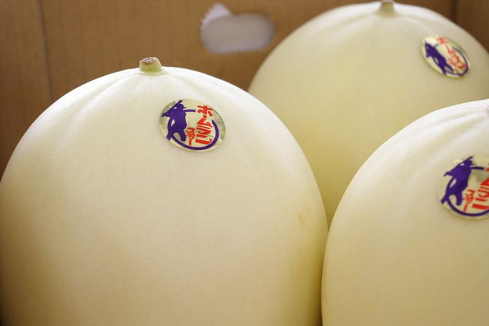 Hiện tại, dưa lê trắng Nhật đang được cửa hàng bán với giá 630.000 đồng/kg. Ảnh: Rakuten.