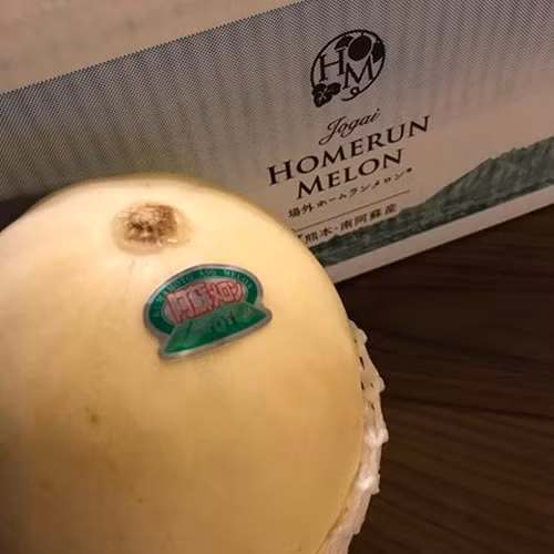 Quả dưa khá tròn, vỏ mỏng, kích thước lớn hơn nhiều dưa lê Việt Nam. Ảnh: PinsTagram.