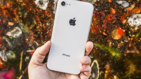 iPhone 8 chỉ có một camera đơn độ phân giải 12MP, khẩu độ f/1.8 và hỗ trợ chống rung quang học như camera chính của iPhone X. Trong khi camera trước thì hoàn toàn tương tự.