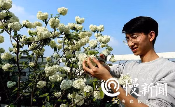 Choang ngop “vuon hoa gac mai” hon 500 loai cua doi vo chong tre-Hinh-7