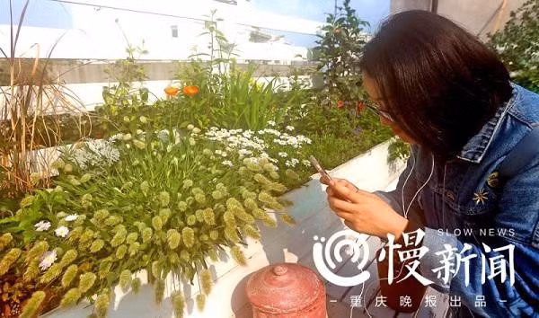 Choang ngop “vuon hoa gac mai” hon 500 loai cua doi vo chong tre-Hinh-3