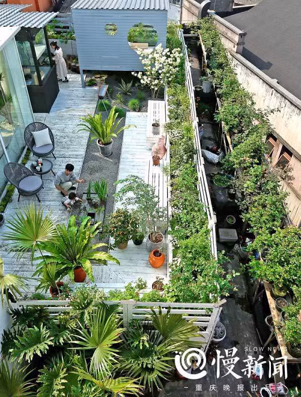 Choang ngop “vuon hoa gac mai” hon 500 loai cua doi vo chong tre-Hinh-2