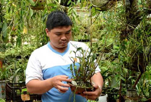 Nhờ đam mê này, anh Công đã đưa nhiều loài hoa lan ở Việt Nam vào danh sách các loài hoa lan quý hiếm trên thế giới. Ảnh: Anninhthudo.