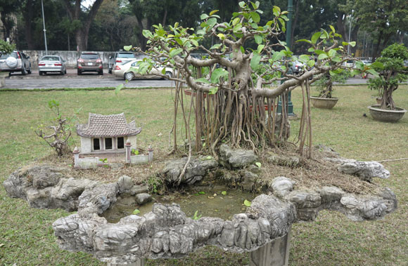 Cây đa trong tiểu cảnh "bến nước - sân đình", hình ảnh mộc mạc, quen thuộc. Ảnh: Khám phá.