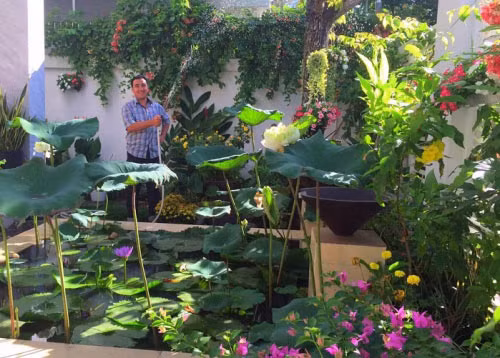 Xung quanh nhà trồng nhiều cây xanh tạo cảm giác trong lành, thoáng đãng. Ảnh: Người đưa tin.