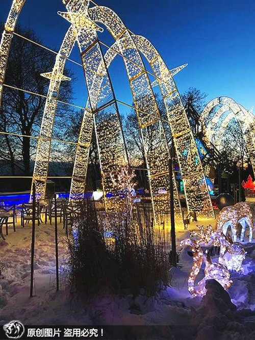 Khu vườn bên ngoài lung linh dưới ánh đèn.