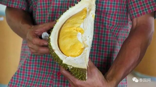 Theo các thực khách, sầu riêng Nuan Thong Cha có vị ngọt, thịt nhiều, mềm mịn, ăn vào có vị thơm chứ không nặng mùi như sầu riêng thường. Ảnh: Baidu.