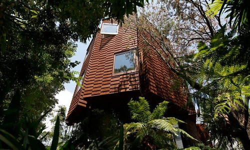 Ngôi nhà được bao quanh bởi vườn cây cận nhiệt đới xanh ngát cùng thảm thực vật trên mái giúp điều hòa luồng không khí.