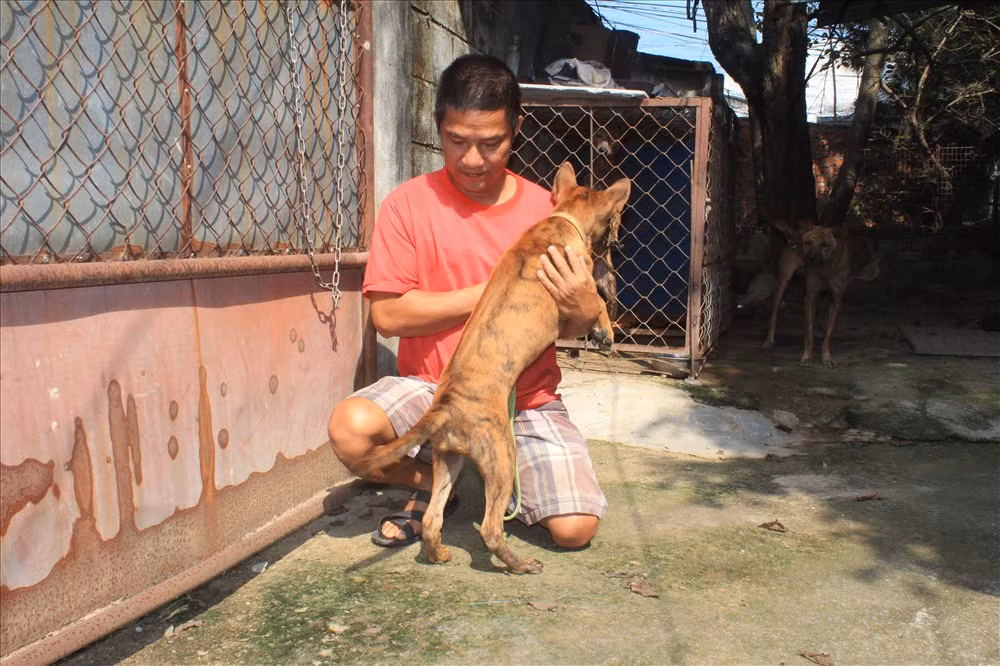 Hơn thế, trang trại chó của anh còn nhận được những đơn đặt hàng từ nước ngoài. Ảnh: Laodong.