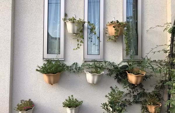 Bức tường được trang trí khéo léo với nhiều chậu hoa. Ảnh: Em đẹp.