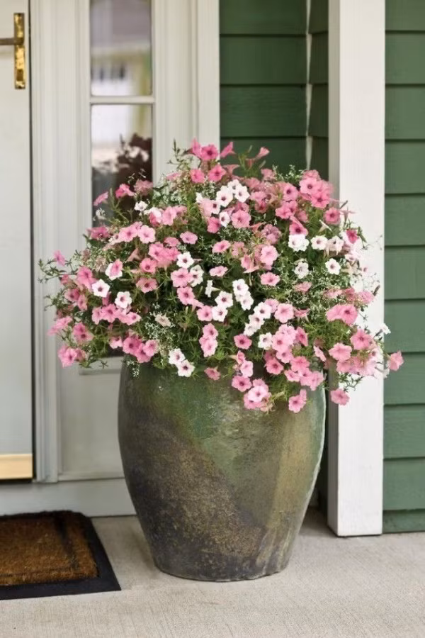 Bình hoa rực rỡ đặt bên cạnh cửa ra vào vô cùng đơn giản nhưng vẫn đủ tạo nét duyên dáng và xinh đẹp cho ngôi nhà đón năm mới.