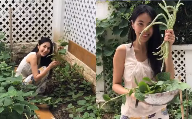 Thủy Tiên còn cho biết, vì rau trong vườn nhiều quá, ăn không hết nên mẹ cô đã mang ra chợ bán. Ảnh: Dân Việt.