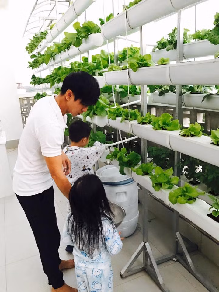 Cũng như vợ chồng Công Vinh - Thủy Tiên, vợ chồng Lý Hải - Minh Hà sở hữu một vườn rau xanh trên mái nhà và sân thượng. Ảnh: FB Ly Hai Minh Ha.