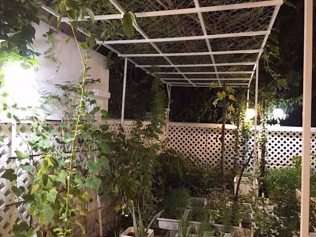 Trong căn biệt thự với diện tích gần 400m2, cặp đôi Công Vinh - Thủy Tiên dành ra một khoảng không gian tạo sân vườn đồng thời có đất để trồng rau sạch. Ảnh: Dân Việt.