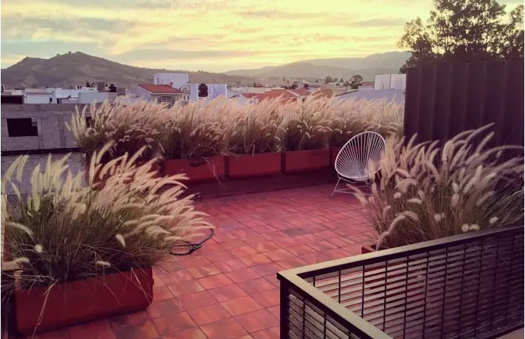 Tuy là một loại cây mọc hoang, nhưng chỉ cần một chút khéo léo sắp đặt, bạn hoàn toàn có thể tạo ra một không gian rất riêng và mộc mạc với bông lau. Ảnh: Roof garden.