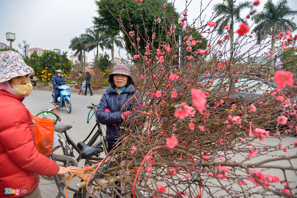 Không chỉ ra chợ, đào còn được một số người chở đi bán rong để không mất tiền thuê chỗ.
