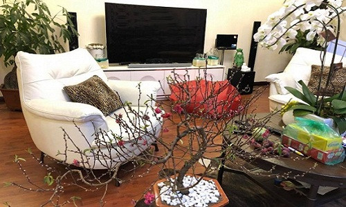 Bên trong căn hộ của gia đình Á hậu Huyền My. Ảnh: Nld.