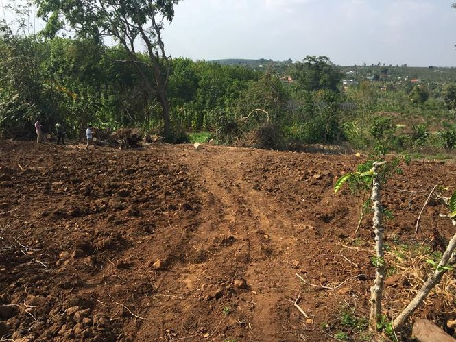 Tiet lo hanh trinh ra Bac cua cay da sieu “khung” que Dak Lak-Hinh-2
