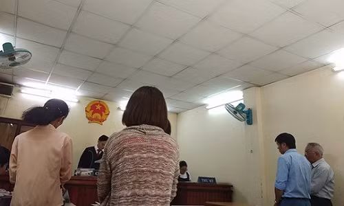 Ly ky vu tranh chap hang loat biet thu o TP HCM