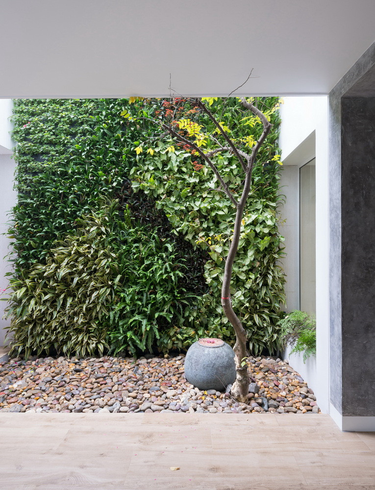 Vườn thẳng đứng trên tường tạo không gian xanh cho ngôi nhà 3 tầng.