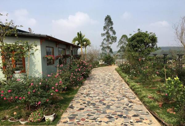 Biệt thự vườn 1 tầng của gia đình chị Hằng (Phú Thọ) tràn ngập hoa hồng đẹp như cổ tích. Ảnh: Kientrucavas.