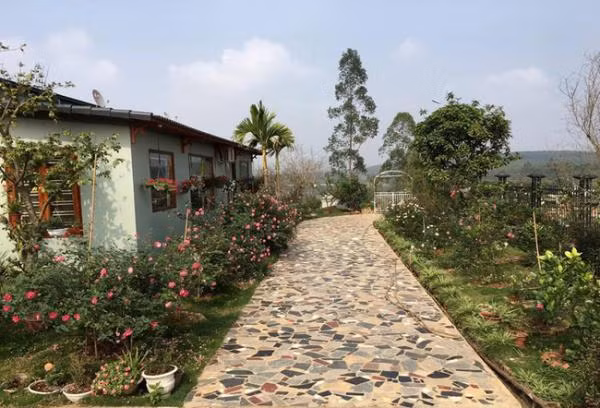Biệt thự vườn 1 tầng của gia đình chị Hằng (Phú Thọ) tràn ngập hoa hồng đẹp như cổ tích. Ảnh: Kientrucavas.